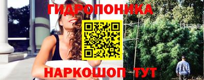 стафф Краснодар