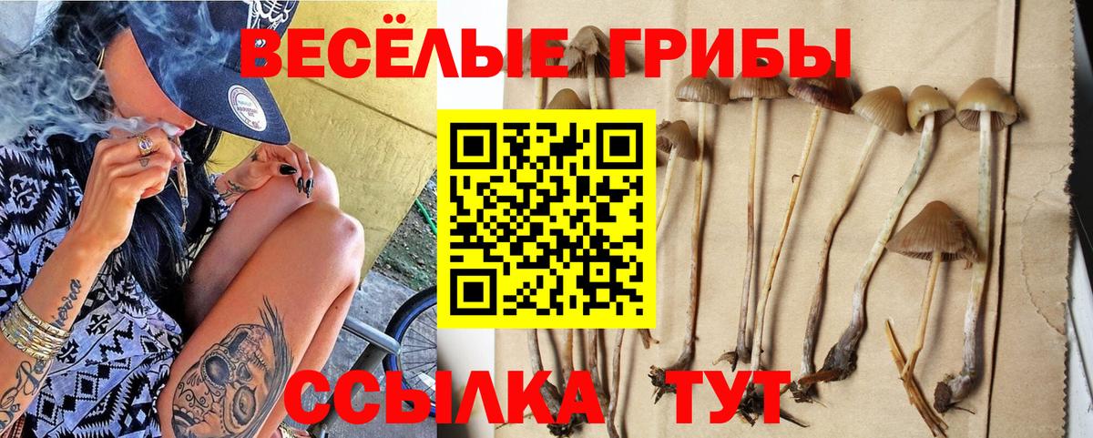 Галлюциногенные грибы Psilocybe  Галлюциногенные грибы MAGIC MUSHROOMS  Вход с VPN  Кемерово 